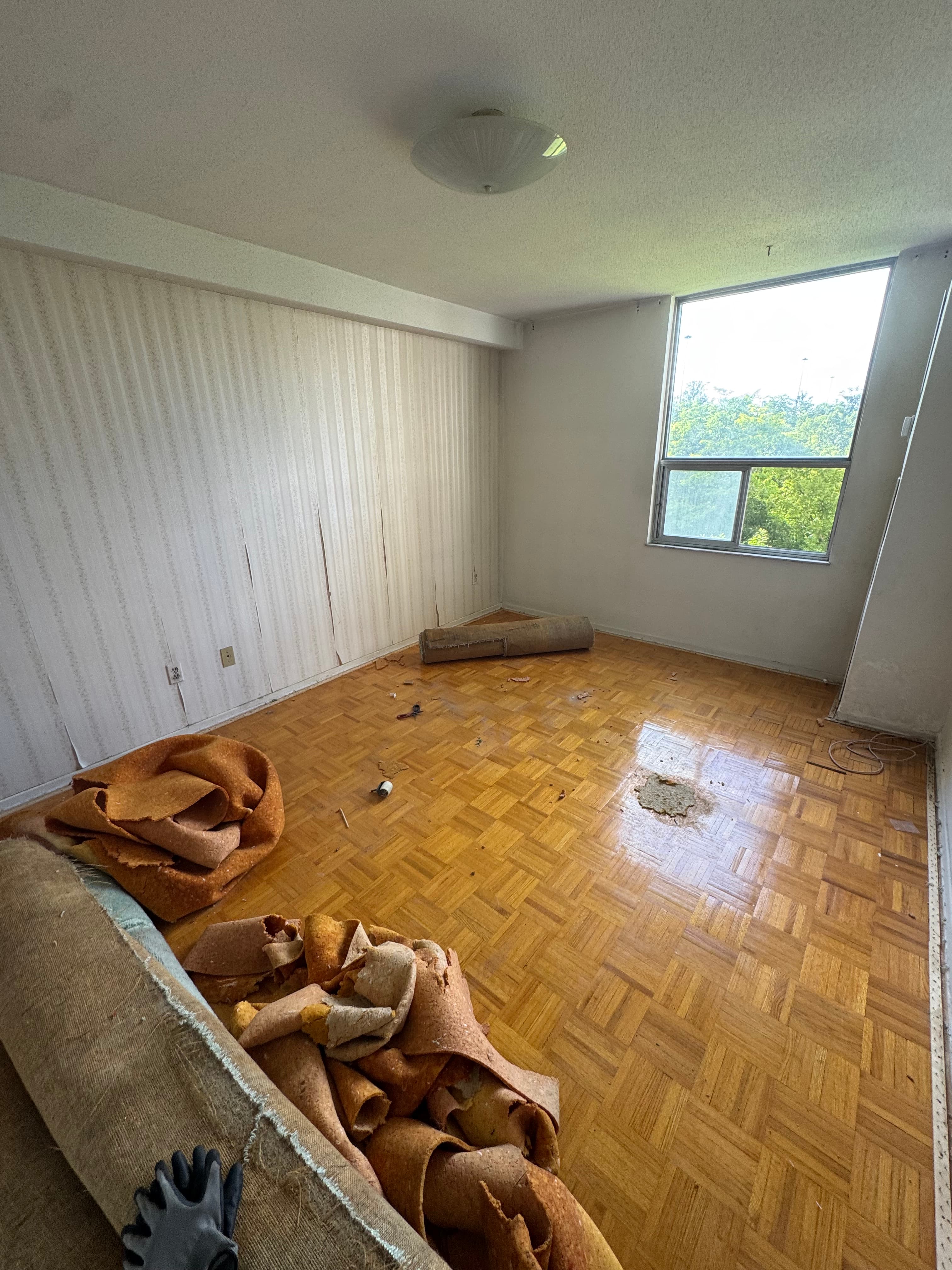 Step 3 — Carpet Being Torn Out